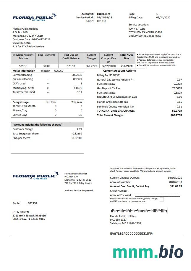 USA Florida Public Utilities rachunek za media szablon w formacie Word i PDF